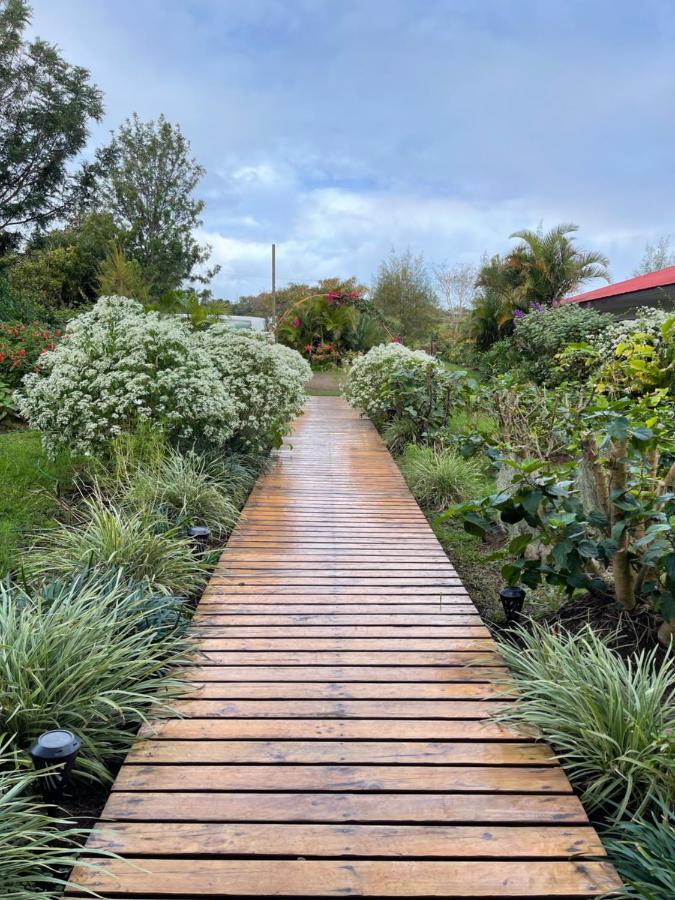 Teanehi Bed & Breakfast Hanga Roa Bagian luar foto
