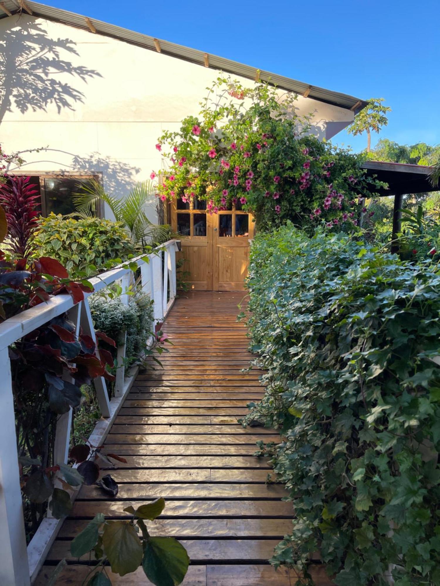 Teanehi Bed & Breakfast Hanga Roa Bagian luar foto